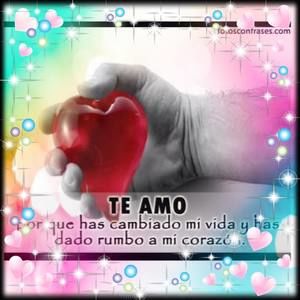 Meet your Posher, Lucas